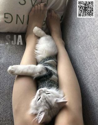 国产小忍者350怎么样_BD韩语全集免费播放